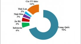 Thủ tục xuất nhập khẩu hạt nhựa